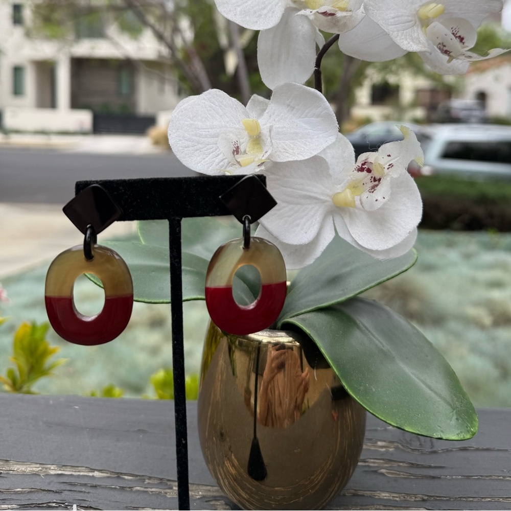 Buffalo horn lacquer Earrings